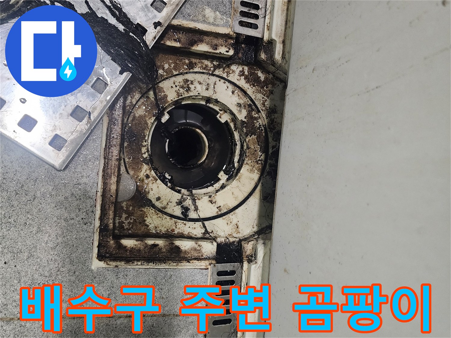 배수구 입구와 타일 경계의 심한 오염 상태