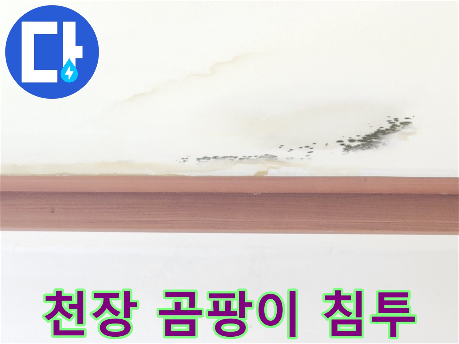 천장 마감재 부근의 곰팡이와 습기 오염 현황