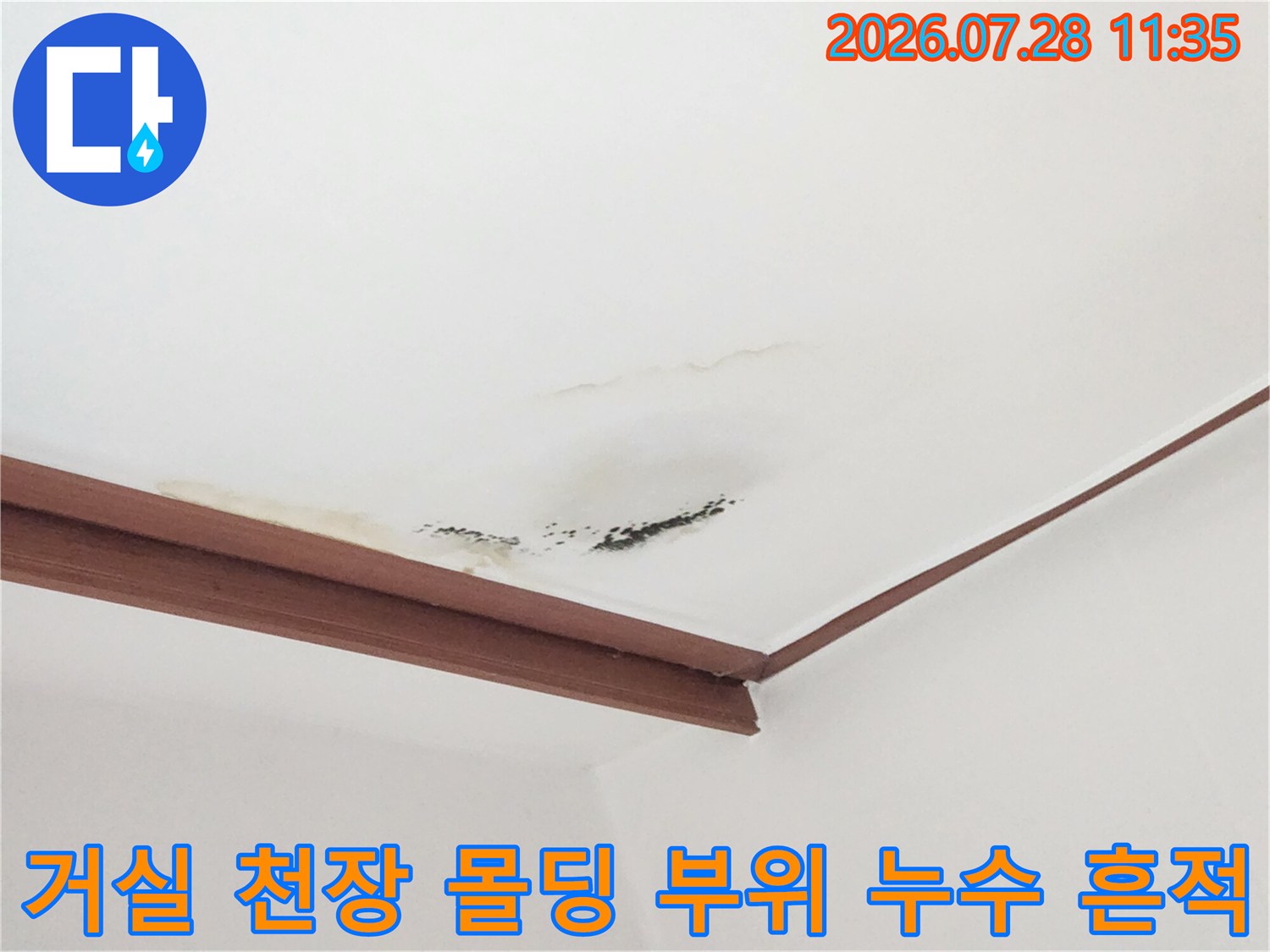 천장 마감재에 나타난 곰팡이 및 수분 침투로 인한 오염 상태