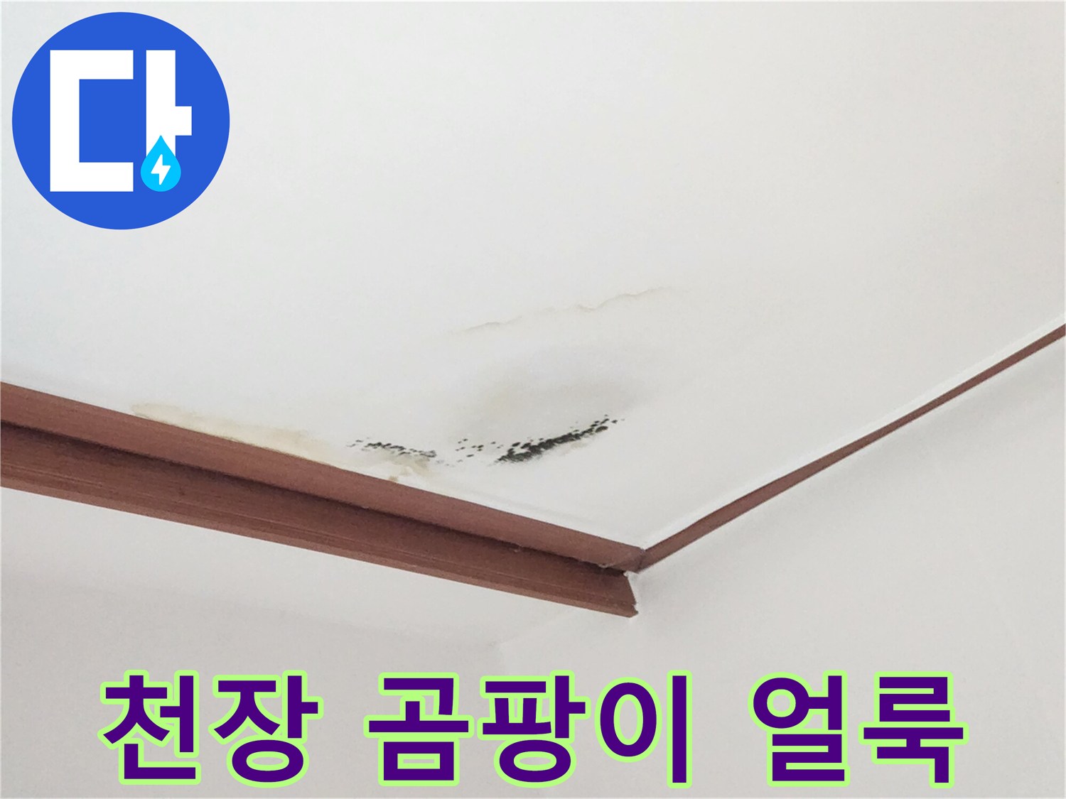 천장 몰딩 부근에 번진 곰팡이와 침수 흔적