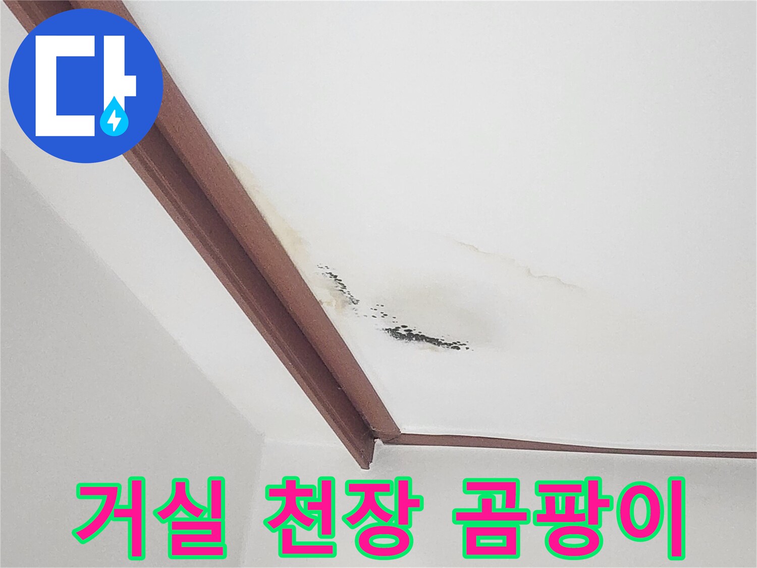 천장 벽면에 발생한 검은색 곰팡이와 누런 물자국