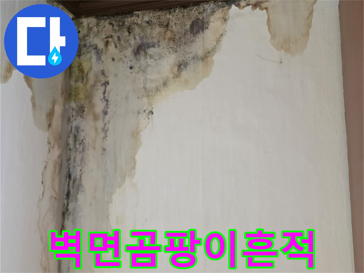 벽면-전체로-퍼진-누수-및-곰팡이-오염