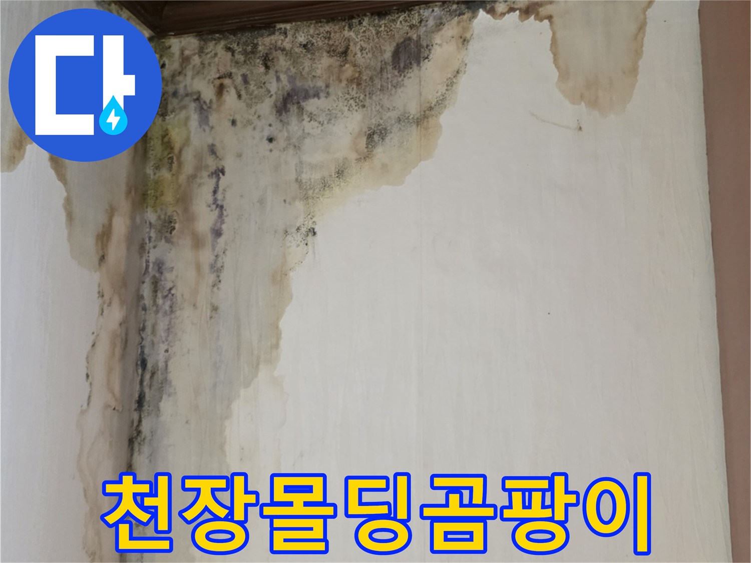 천장-몰딩-부근에-발생한-검은-곰팡이와-물자국