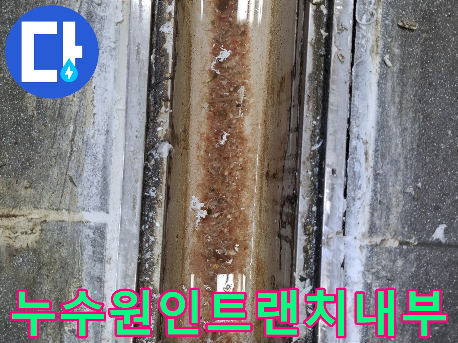 오염물질이-쌓여있는-식당-배수구-트랜치-모습