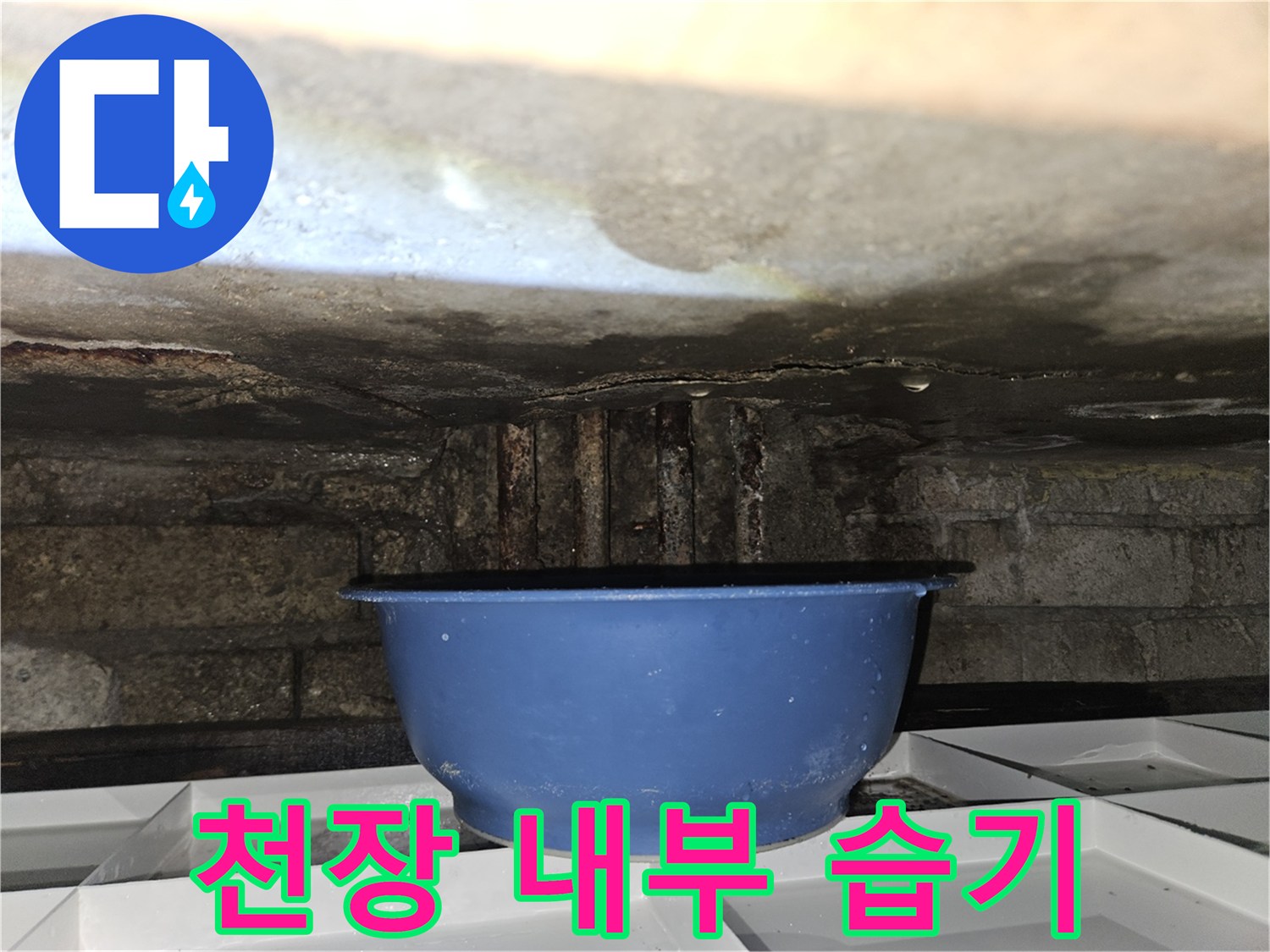 물에 젖은 천장 구조물과 대야