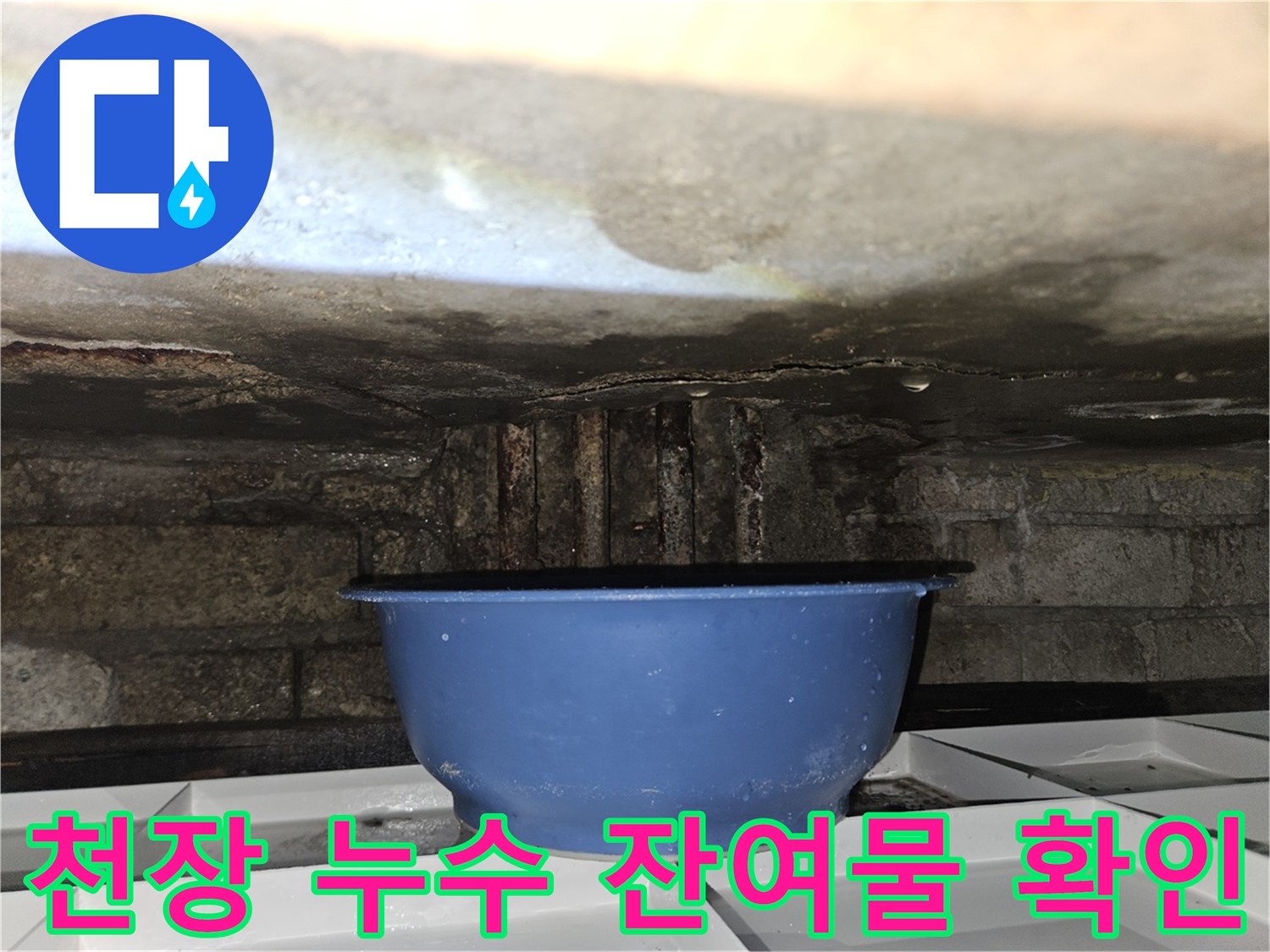 화장실 천장 내부-물 고임 현상-파란 대야 배치