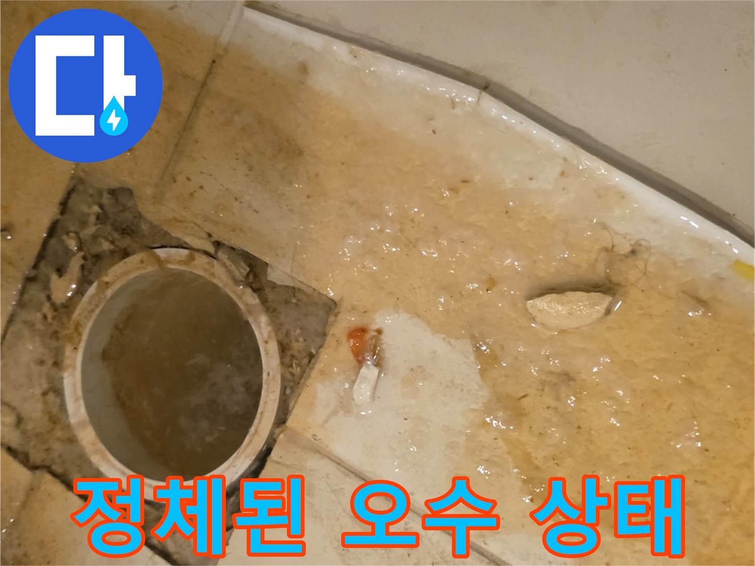 배관 속에 고여 있는 오염된 물-역류 현상 발생 부위
