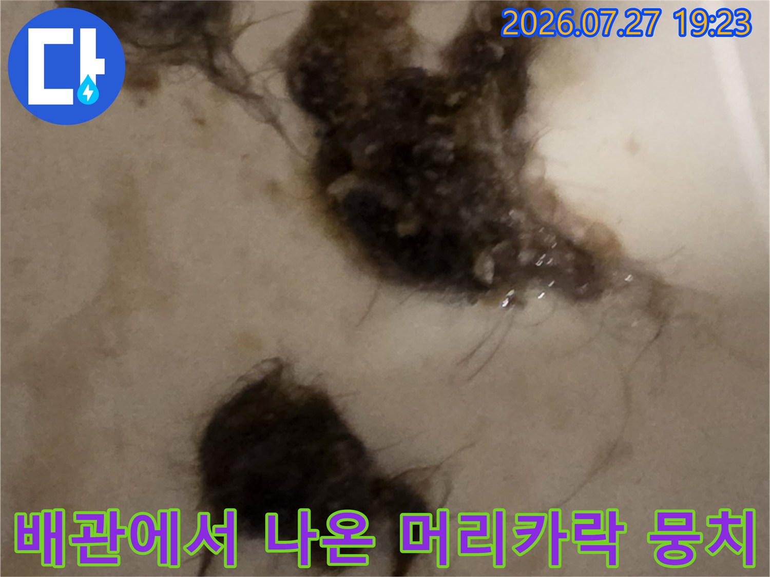 오수관 내부를 막고 있던-다량의-머리카락-이물질-덩어리