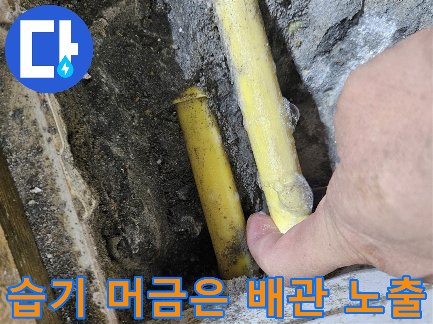 물샘 현상이 발생한 노란색 배관의 노출 부위