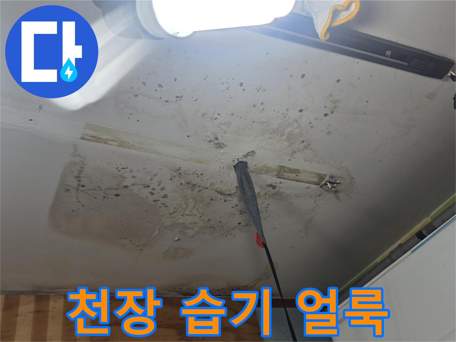 누수 피해-천장 마감재의 곰팡이 및 변색 부위