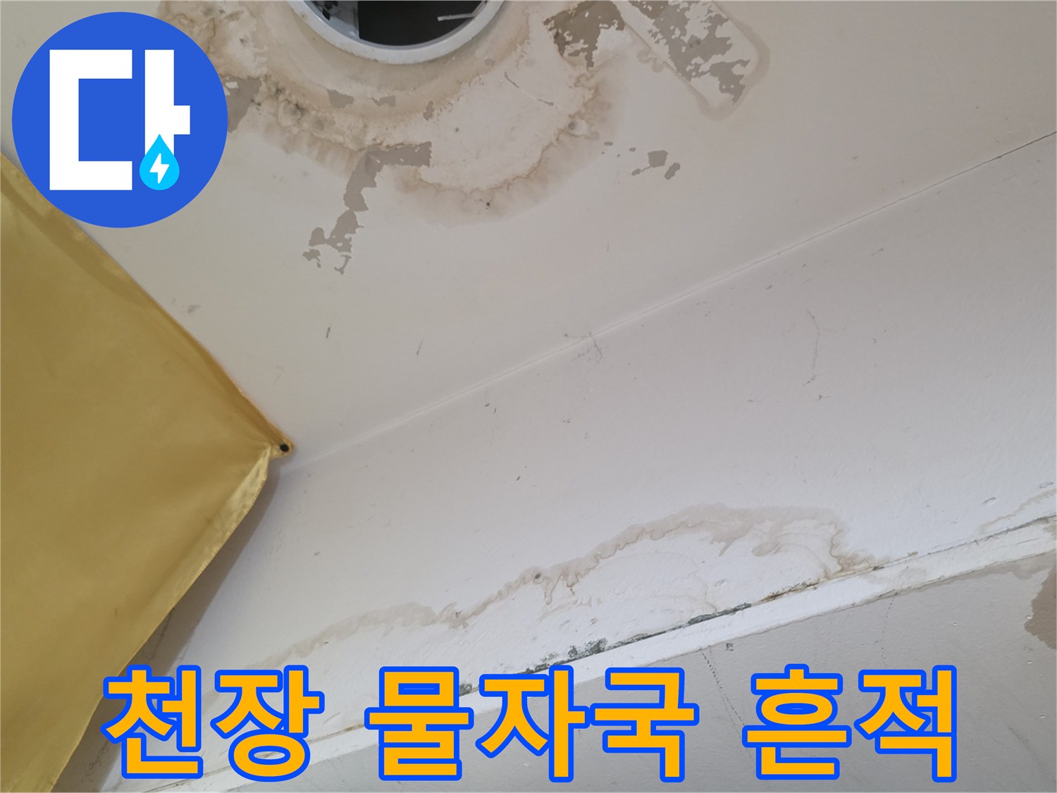 상가주택-천장-부근의-심한-물샘-흔적-사진
