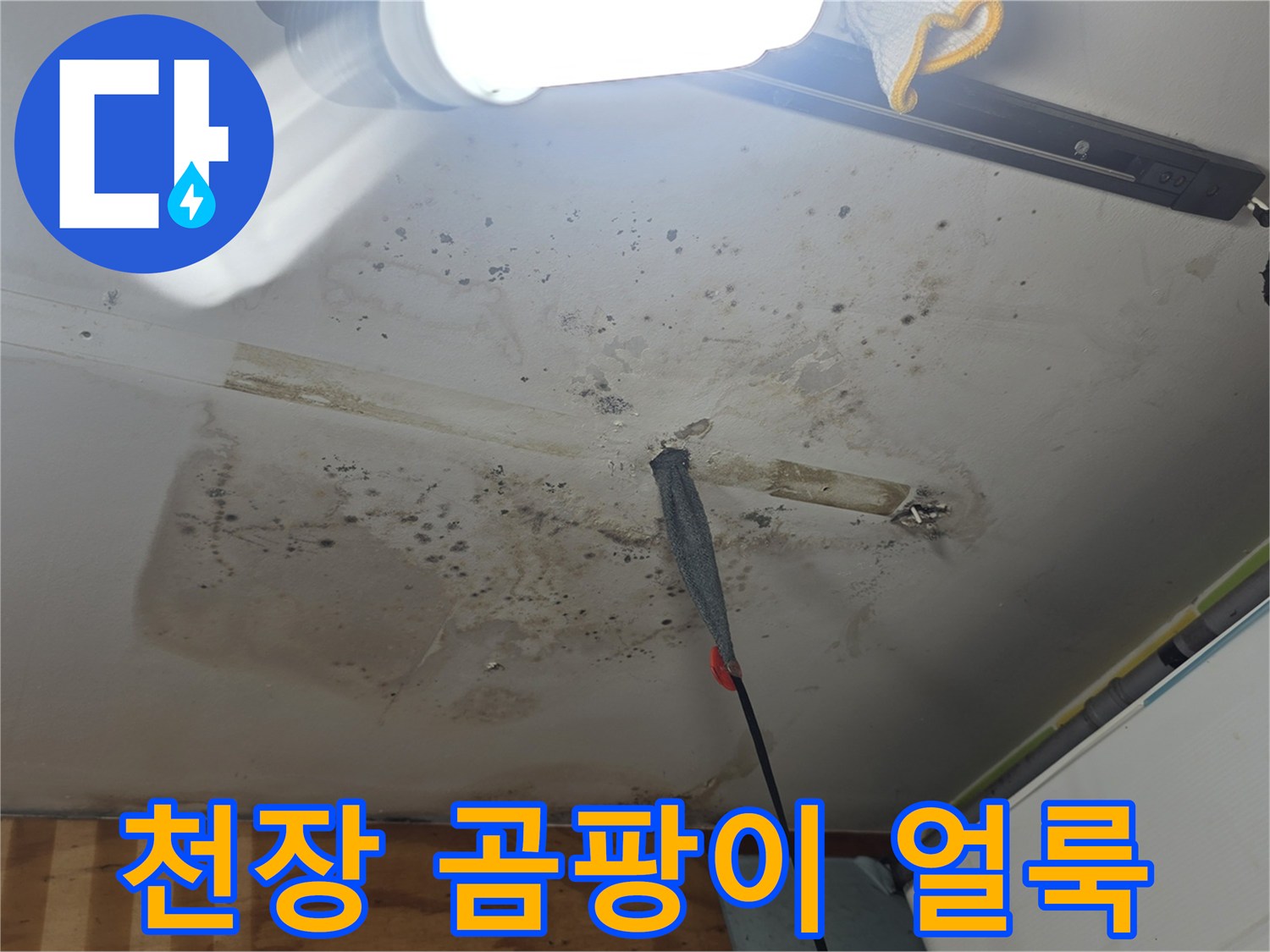 천장 마감재에 발생한 곰팡이와 습기 흔적 이미지