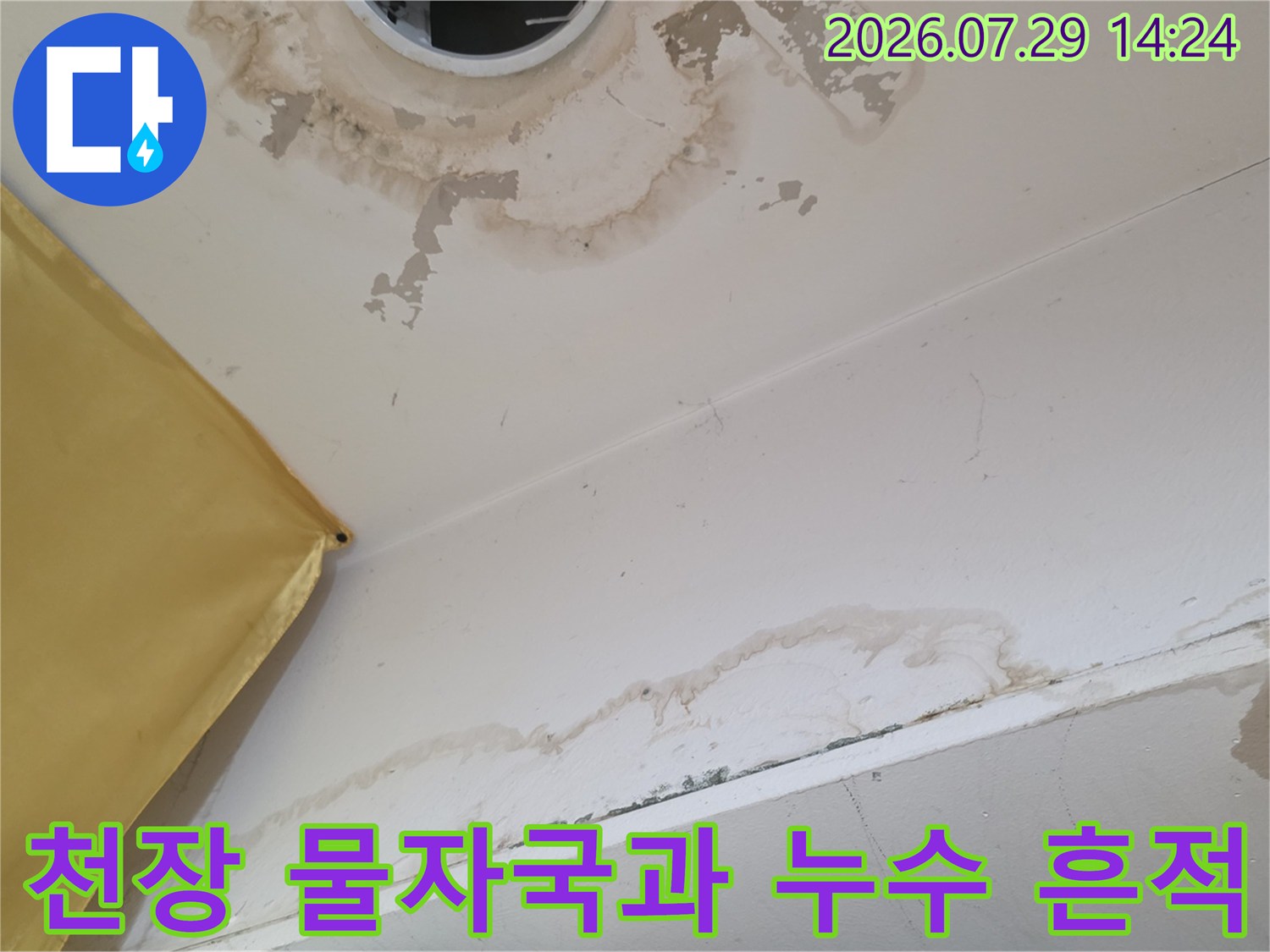 천장에 발생한 갈색 물자국과 곰팡이 흔적을 촬영한 사진