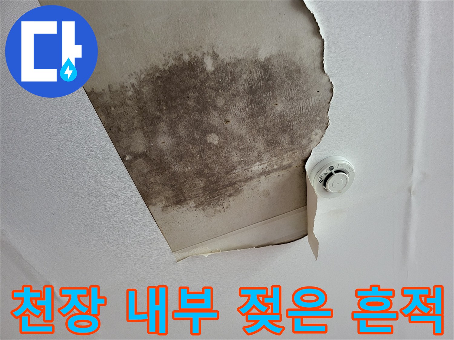 물샘으로 인해-변색된 천장 마감재 부위
