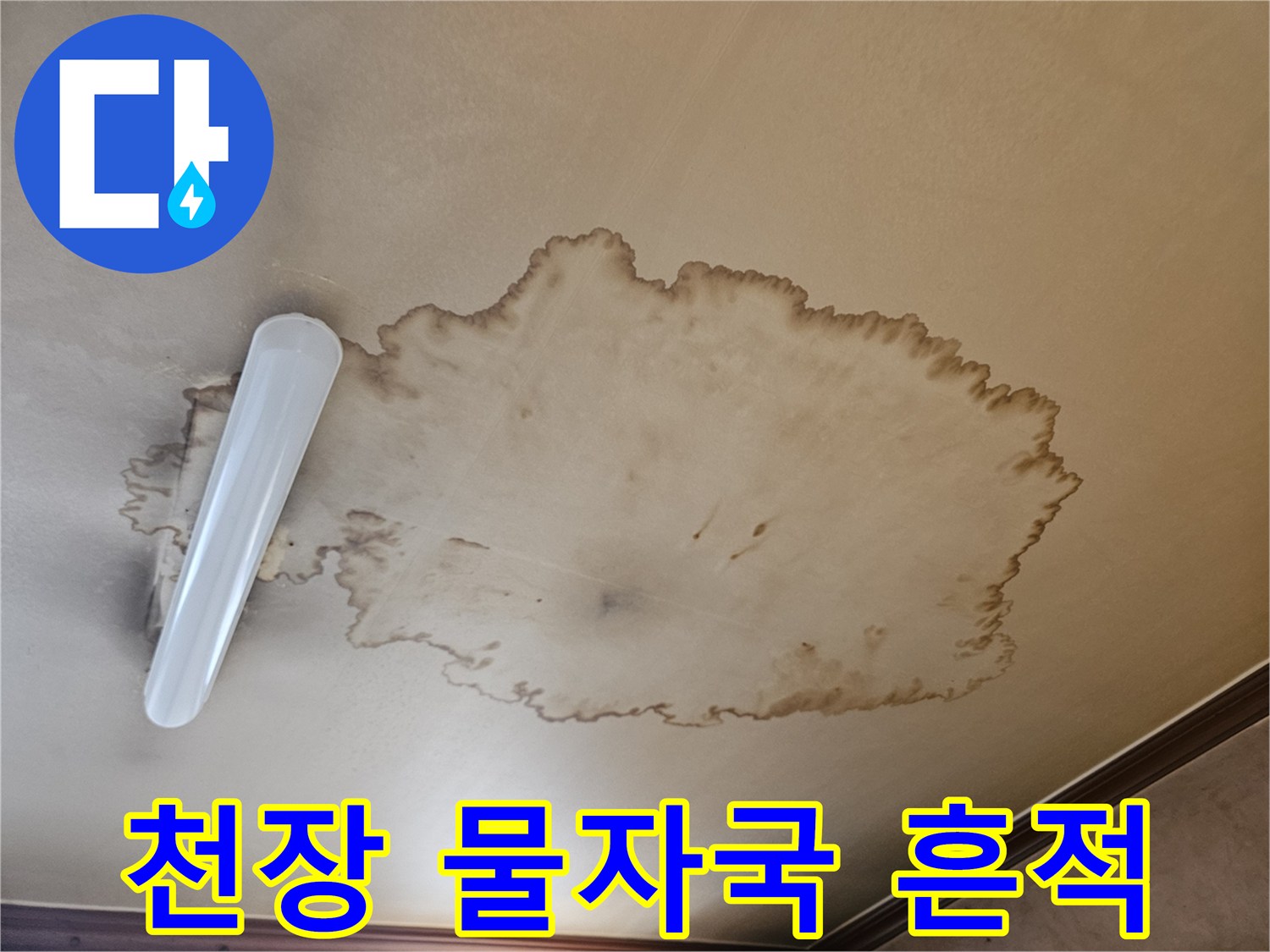 넓게 퍼진 갈색의 천장 누수 오염 부위
