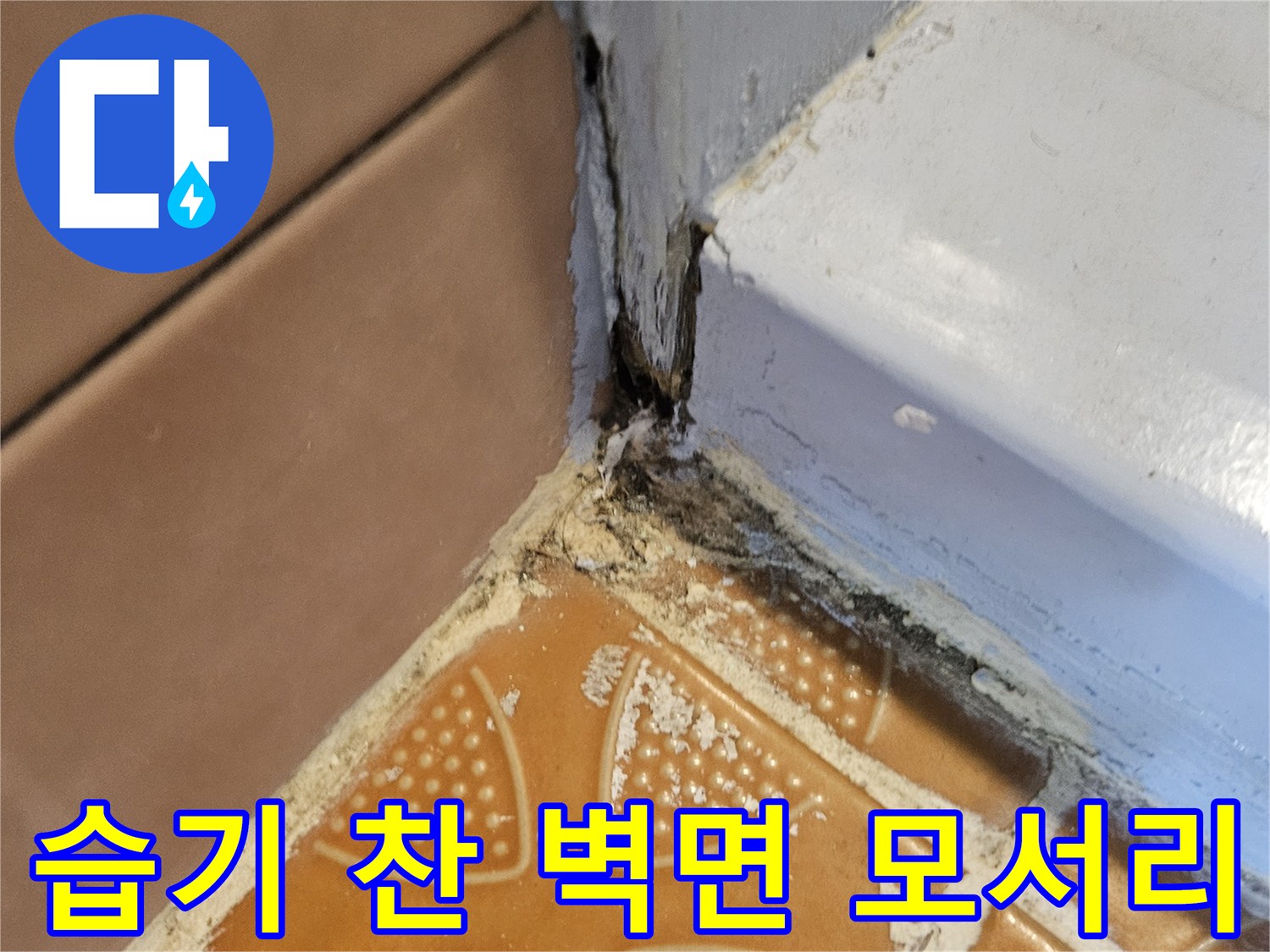 벽면과 타일 경계-누수로 인해 변색된 부위