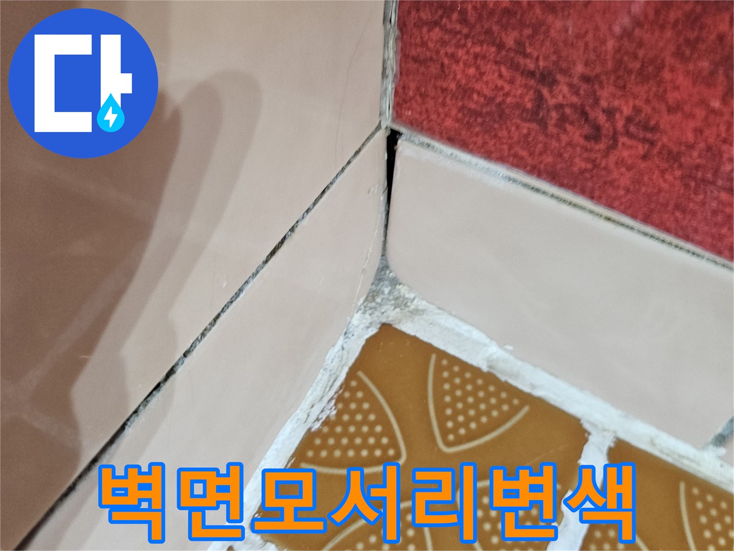 타일-사이의-습기_머금은_변색부위