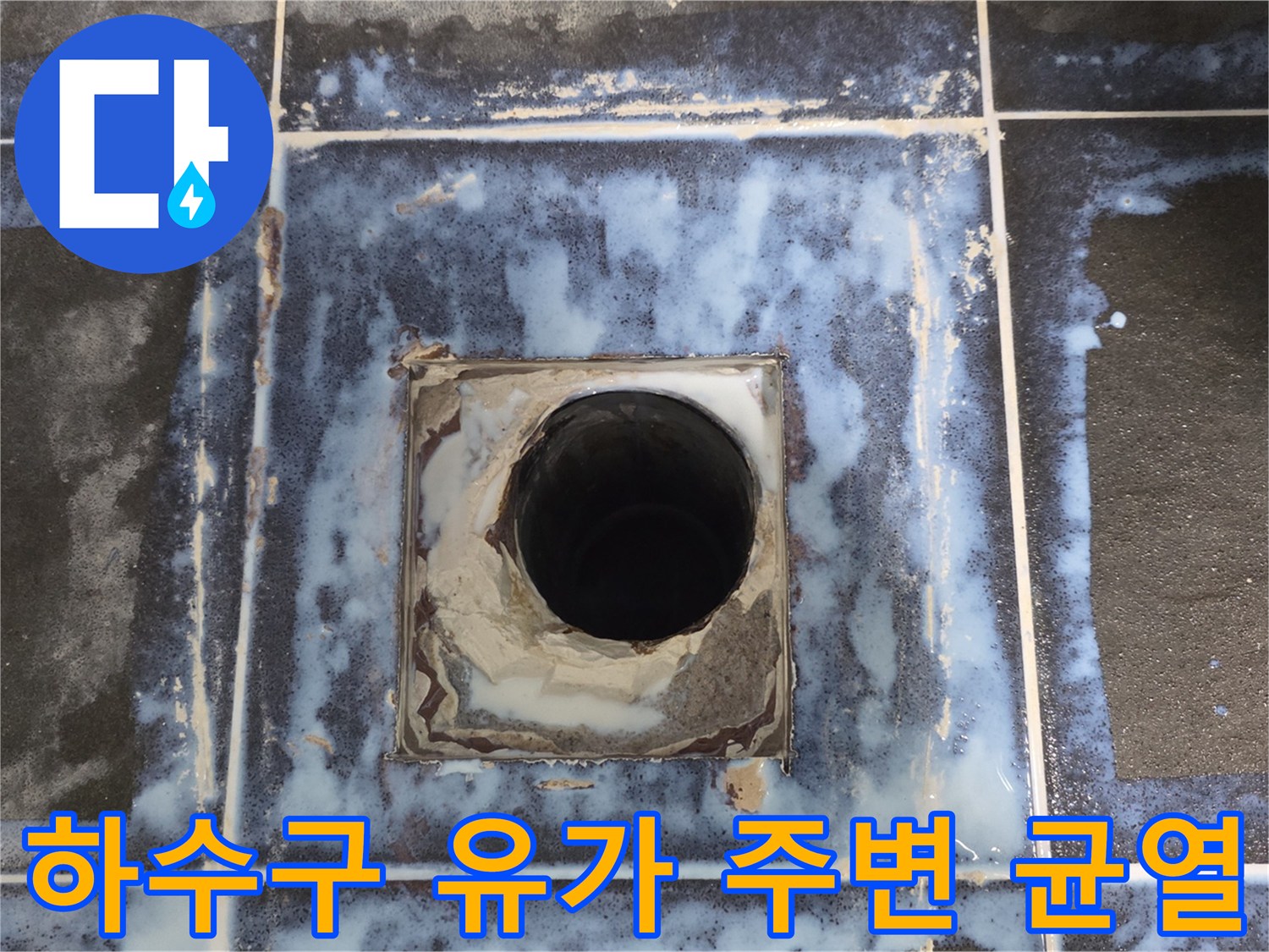 배수구-주변-타일-틈새로-물기가-스며든-현장-사진