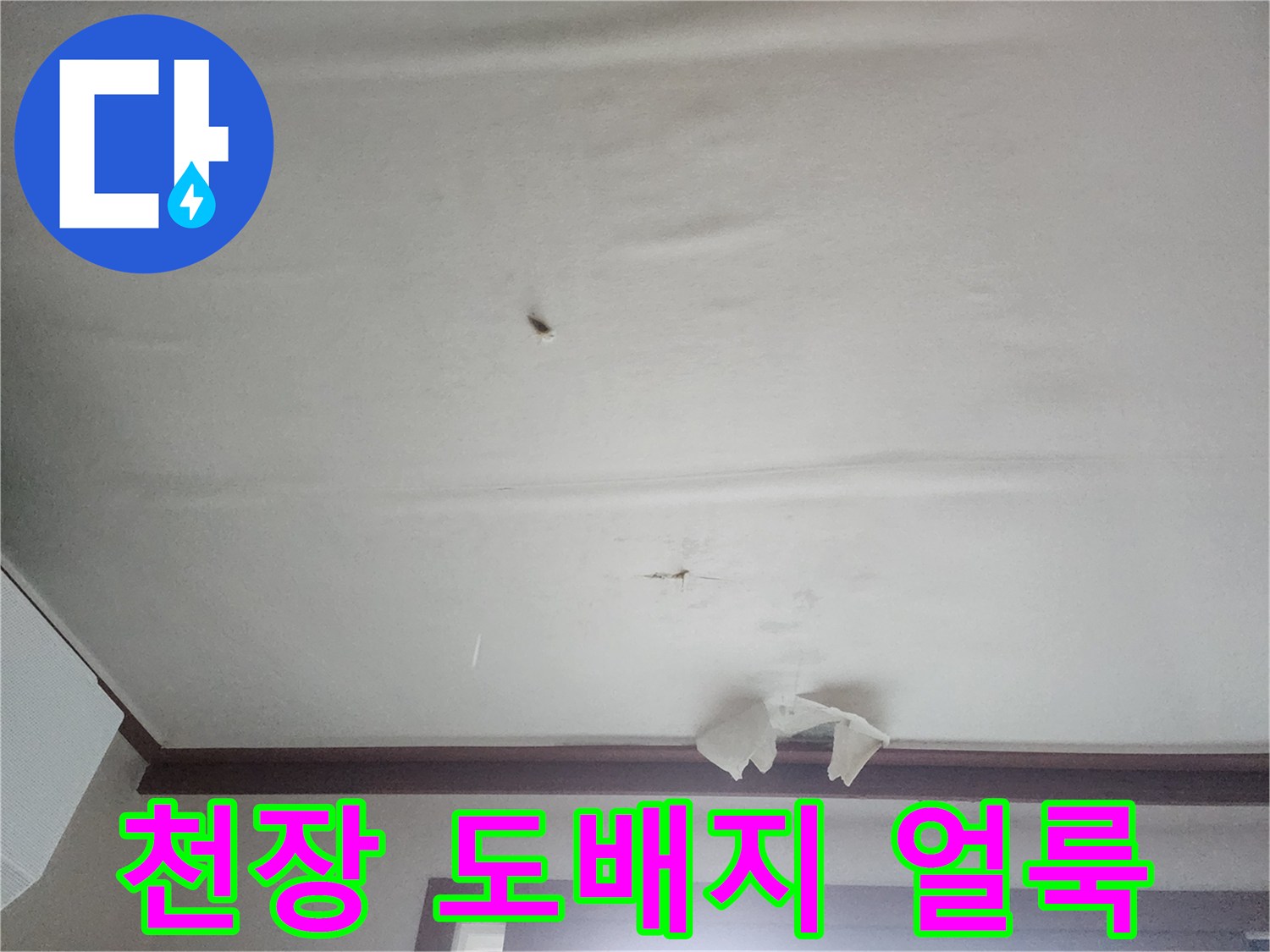 천장-도배지가-젖어있는-상태를-보여주는-사진