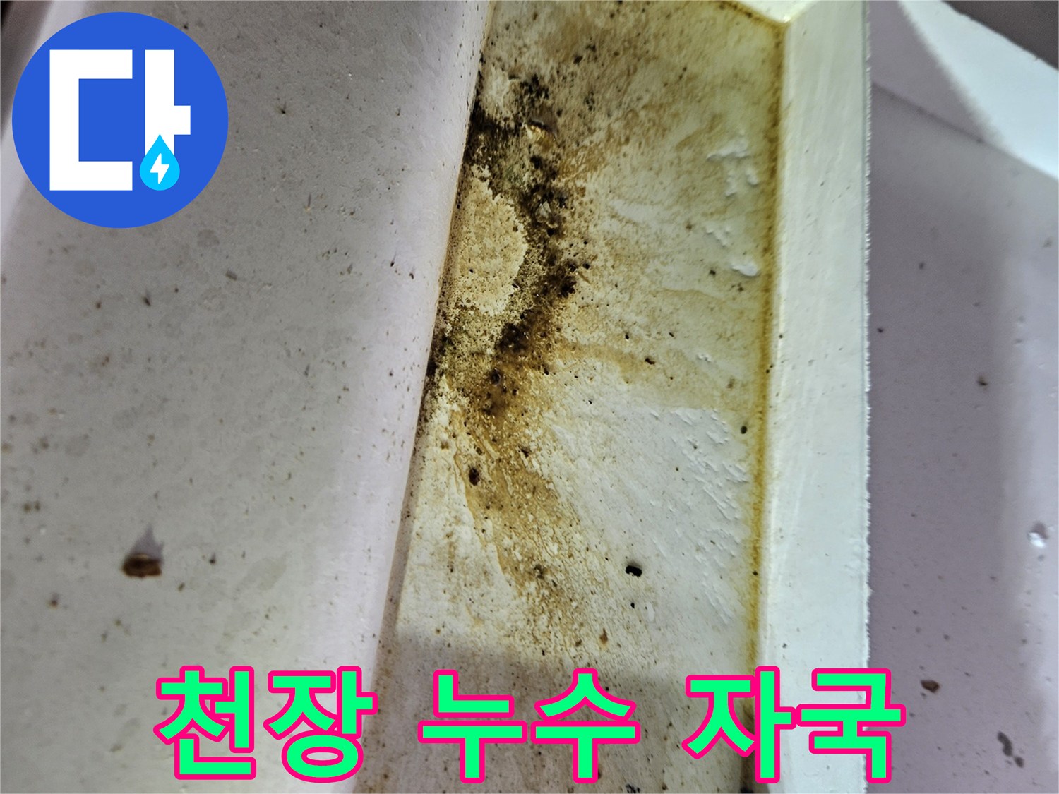 배관-결함으로-발생한-천장-누수-흔적