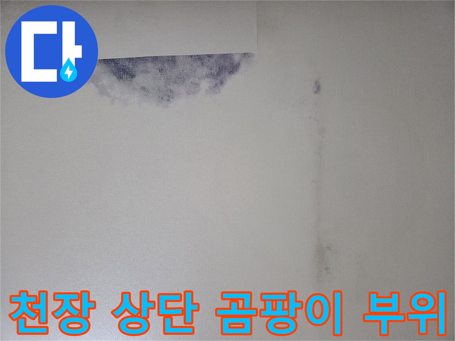 벽지 상단에 발생한 검은색 곰팡이와 얼룩
