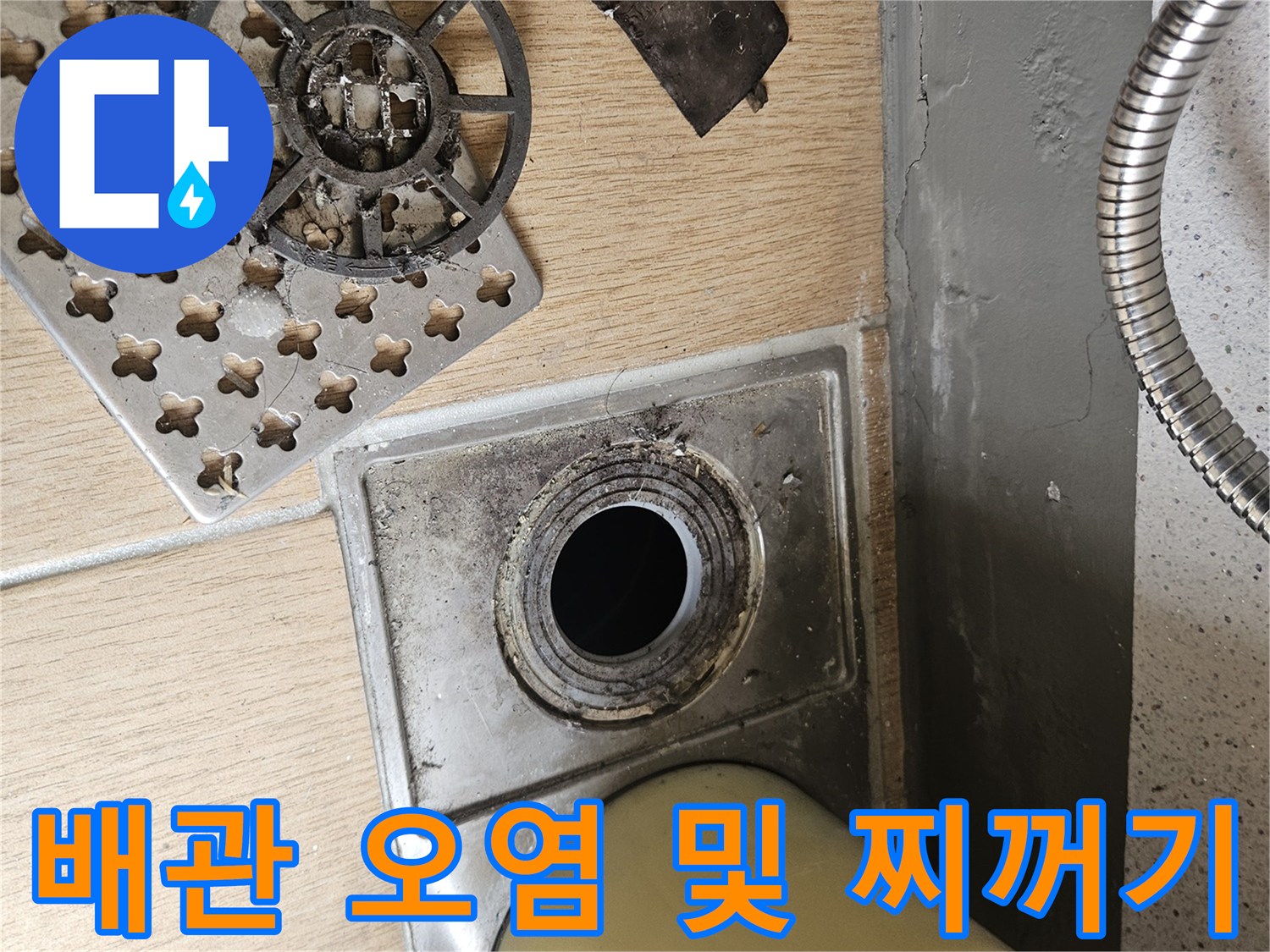 배수구-주변의-검은-오염물과-분리된-배수망