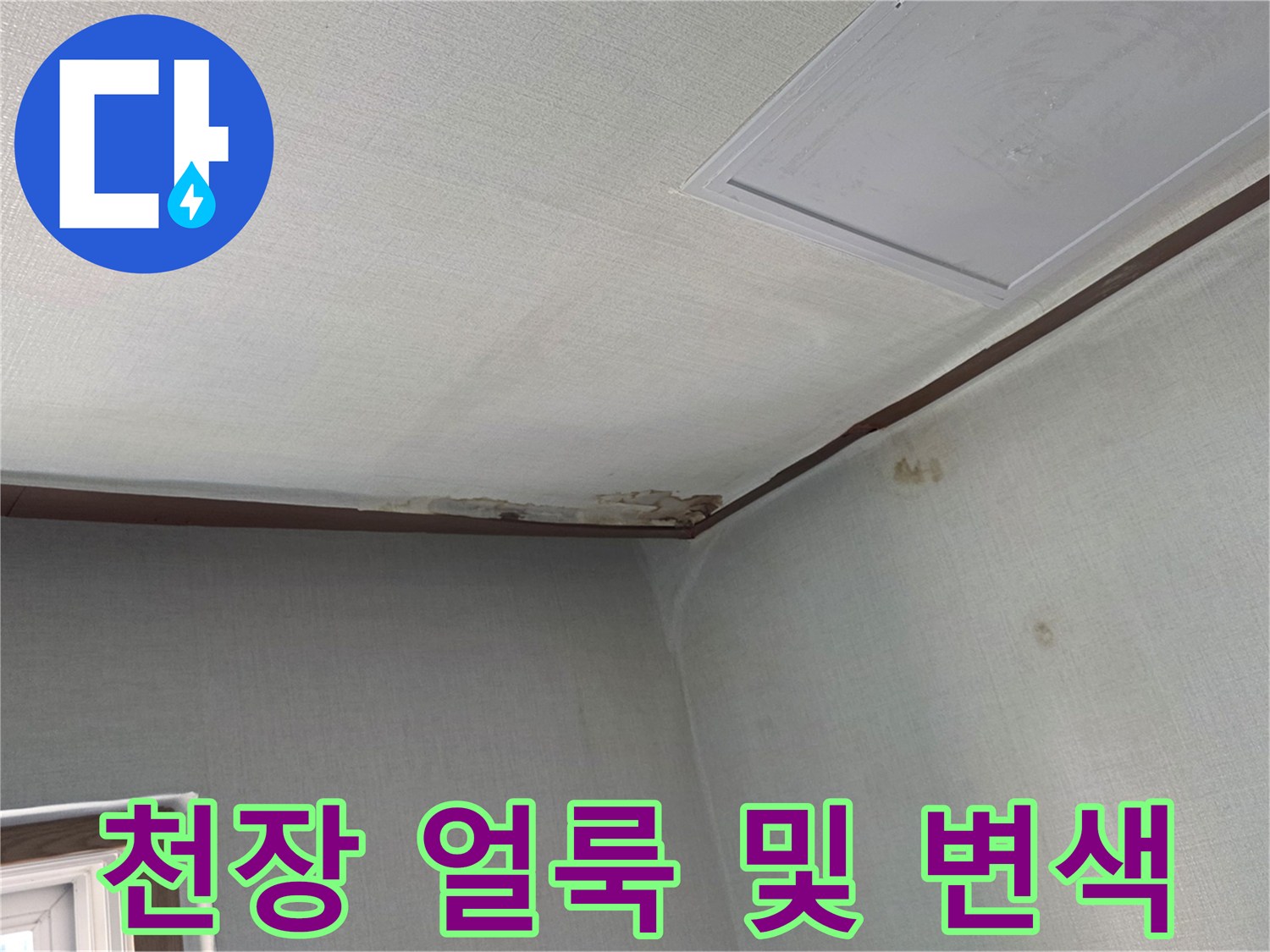 구미동 현장의-천장 몰딩 주변 벽지 오염 상태