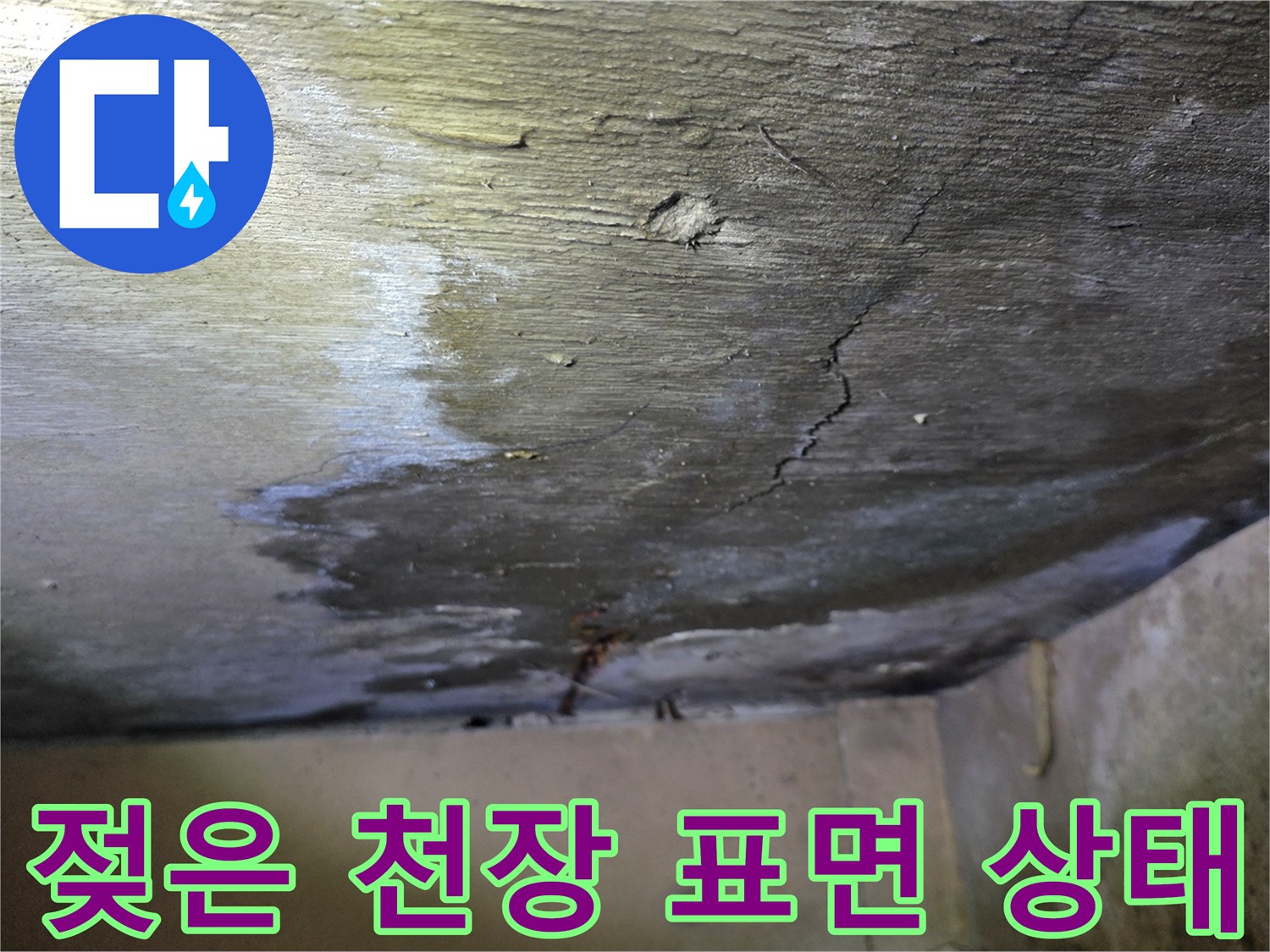 물기에 의해 변색된 콘크리트 천장 부위
