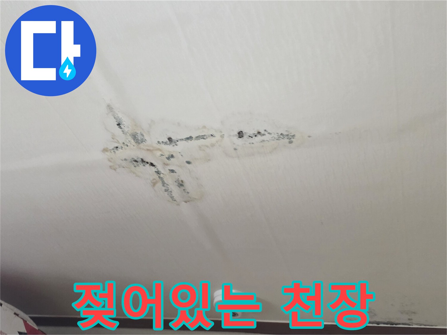 물샘으로 인해 눅눅하게 젖은 천장 표면