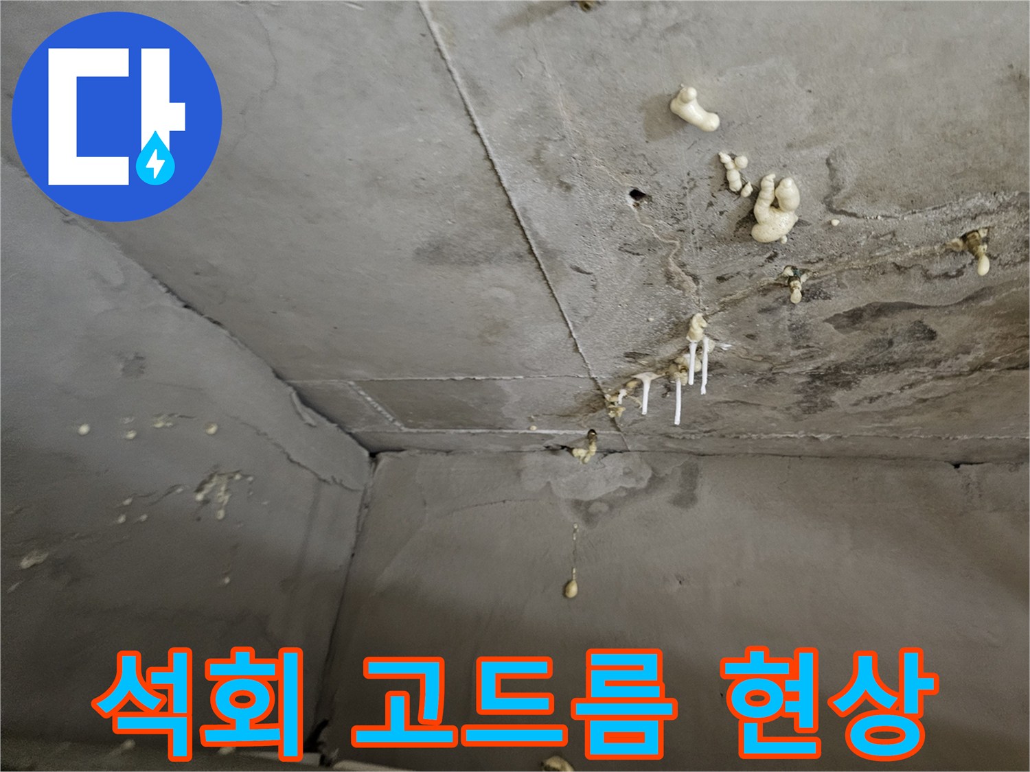 천장 슬래브에 맺힌 하얀색 석회 성분 퇴적물