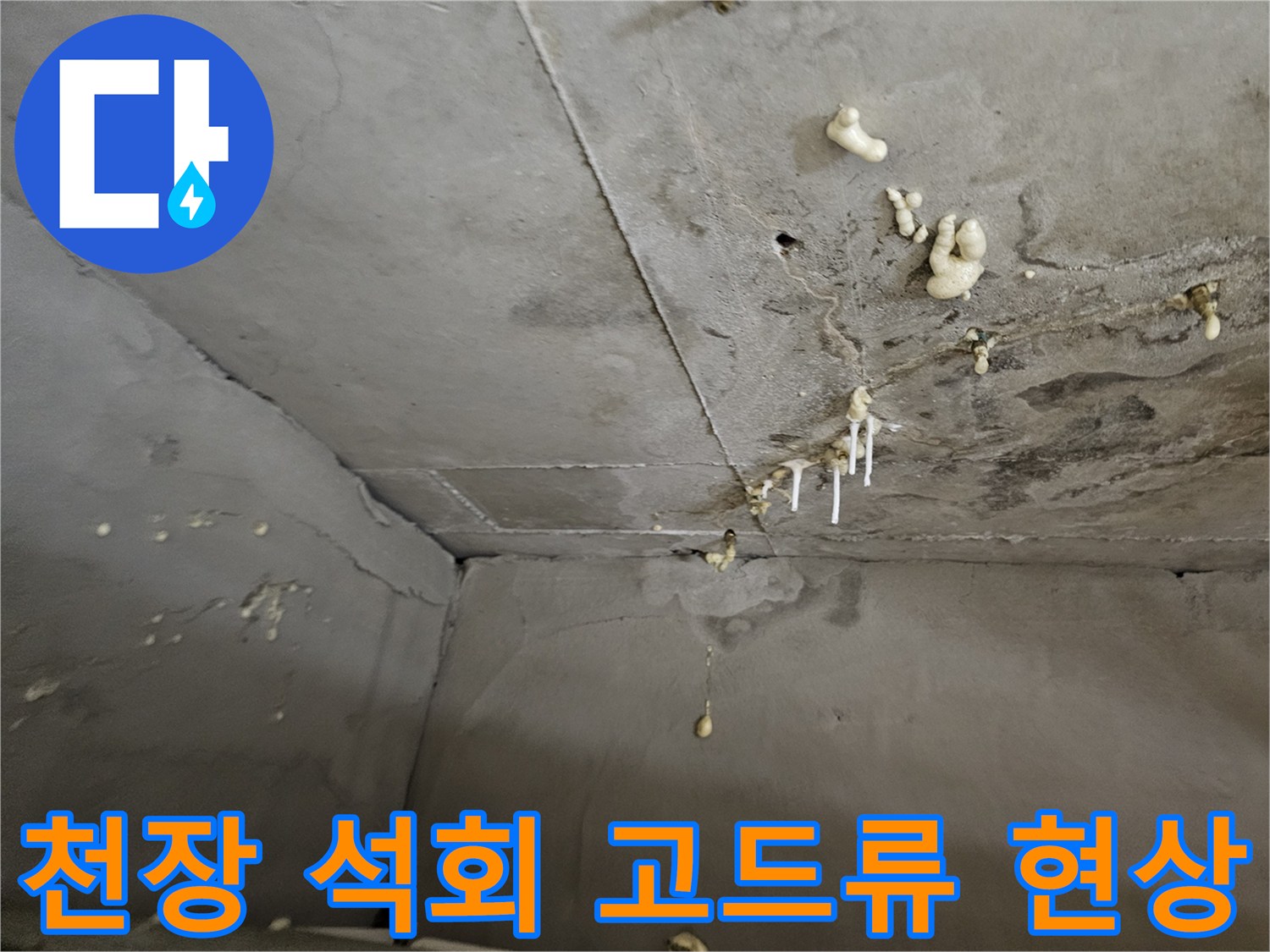 화장실 천장 슬래브-하얀색 석회 고드름이 맺힌 상태