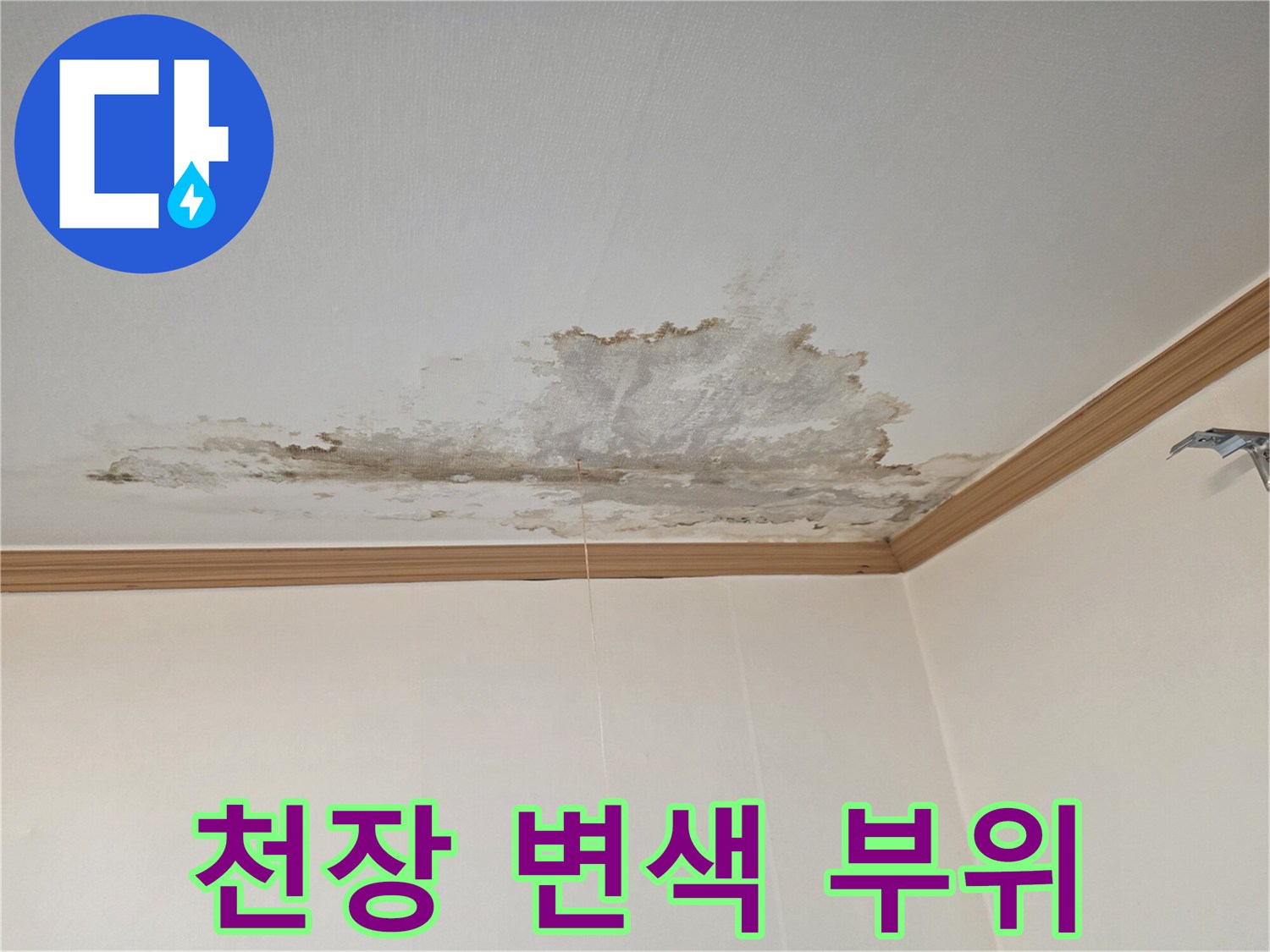 넓게-퍼진-천장의-누수-변색-영역