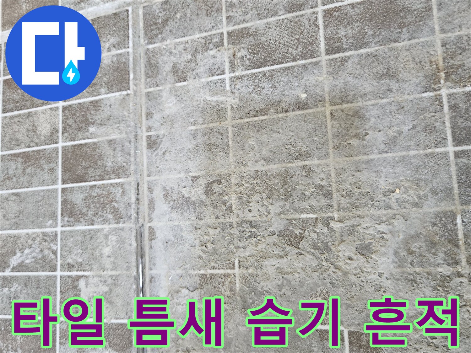 진안동 현장-타일 사이의 얼룩진 습기 상태