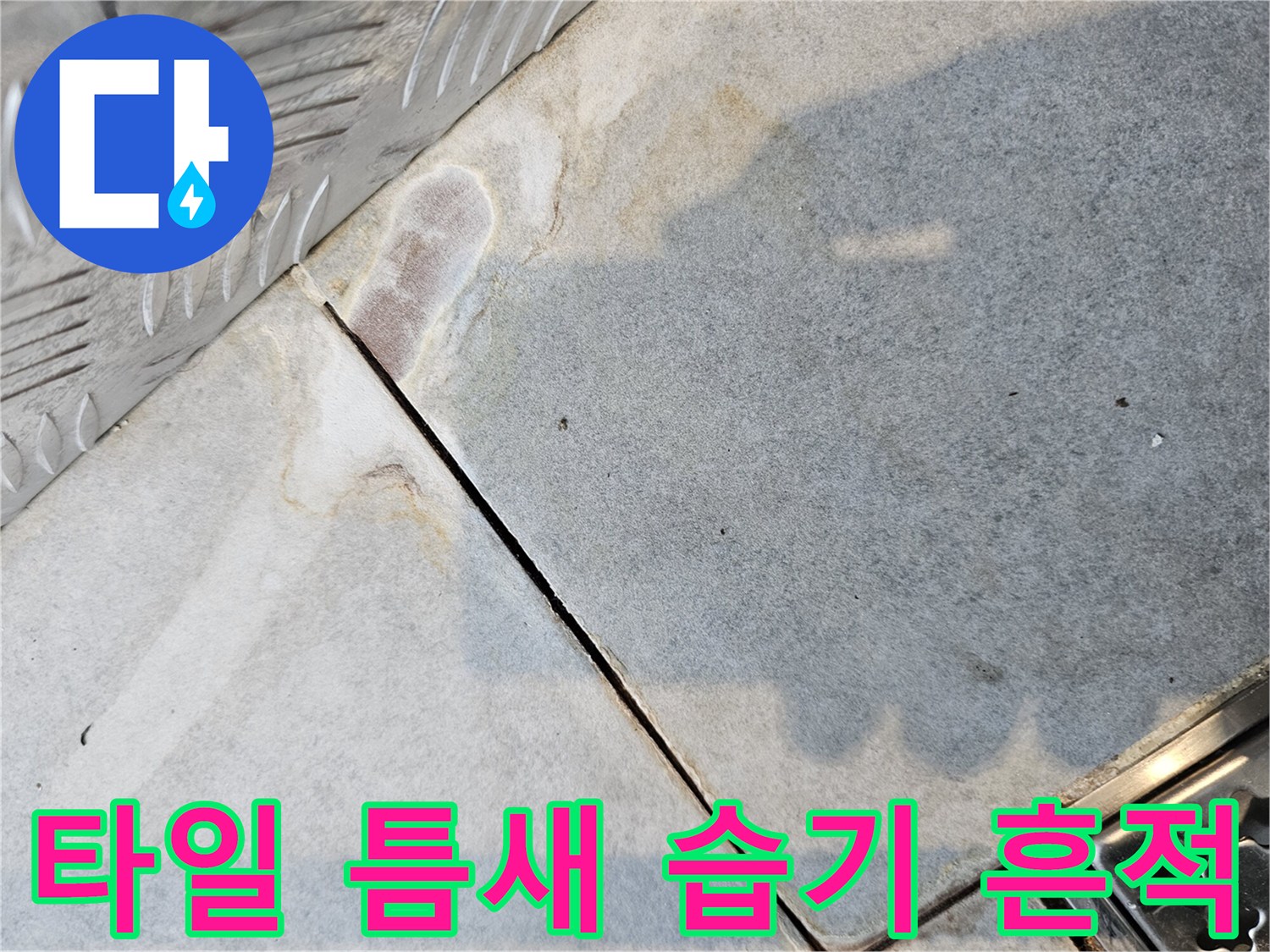 습기로 인해 변색된 타일 경계 부분
