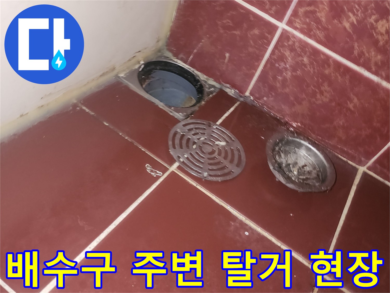 양천구-화장실-유가-탈거-및-진단