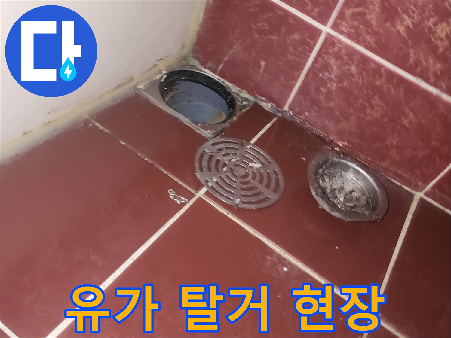 화장실-배수구-거름망-및-타일-노출