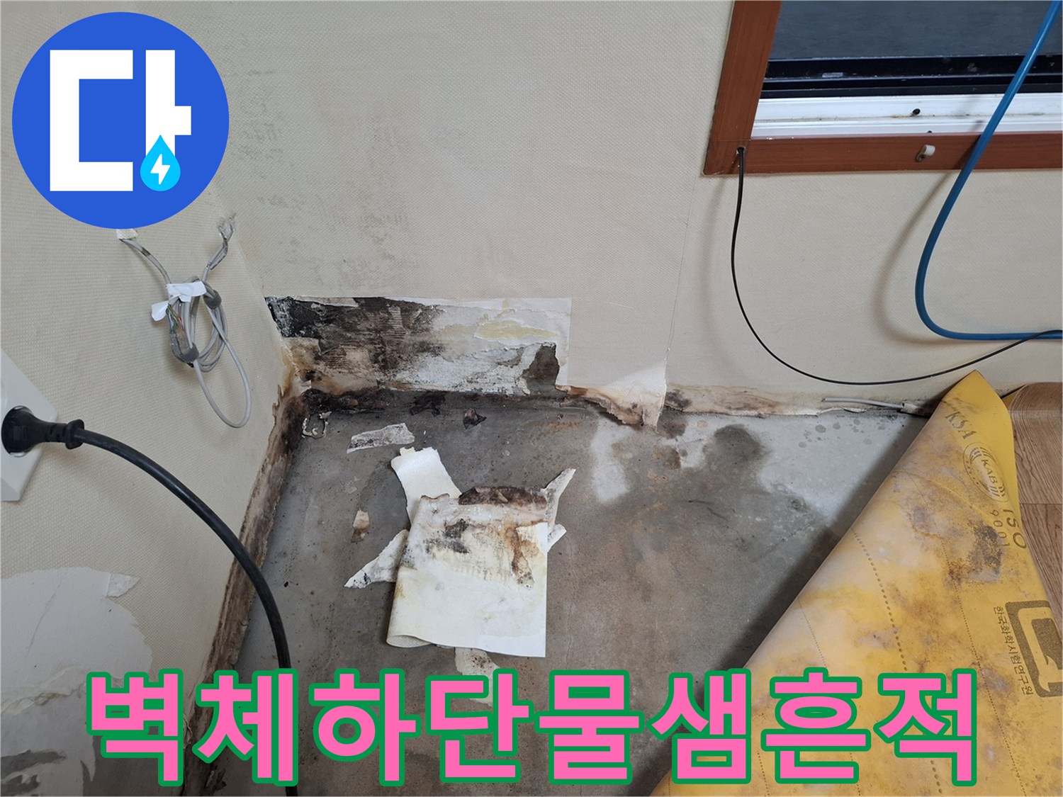 개봉동-현장-벽면-곰팡이와-습기-상태