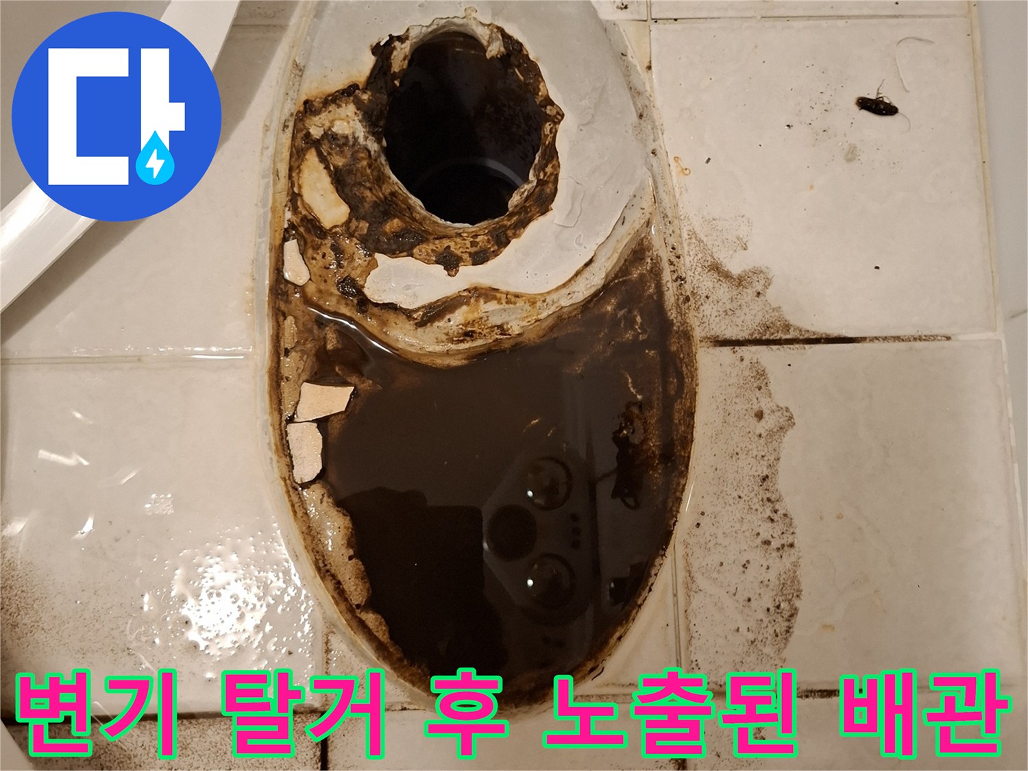 변기를 제거한 자리의 검게 오염된 오수관 주변 현장