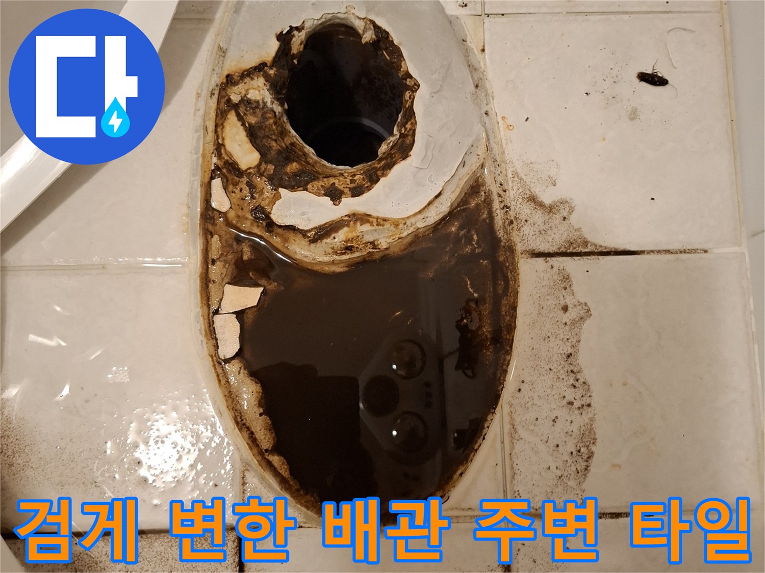 오수가-스며들어-검게-변해버린-화장실-바닥-타일
