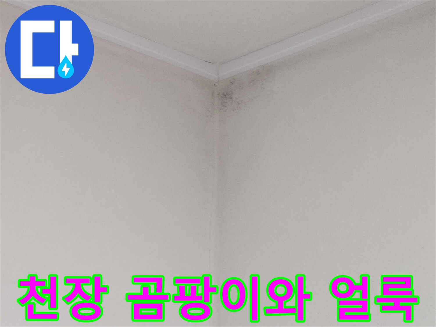 아래층 화장실 천장 부근에 발생한 검은색 곰팡이와 물자국 상태