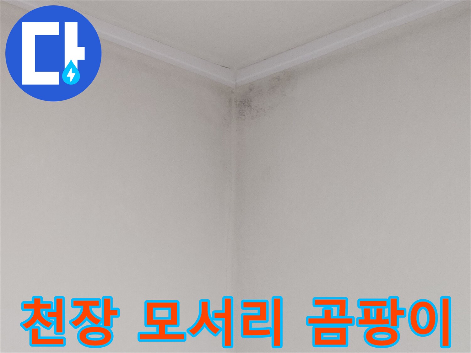 화장실 천장 구석의 젖은 얼룩과 검은 곰팡이