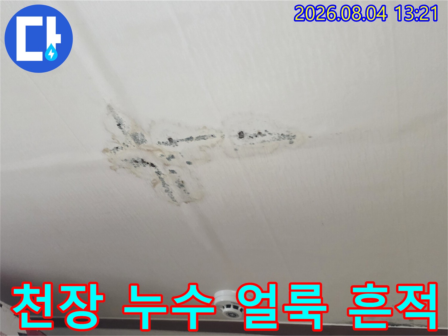 천장 마감재에 선형으로 발생한 누수 흔적과 물자국