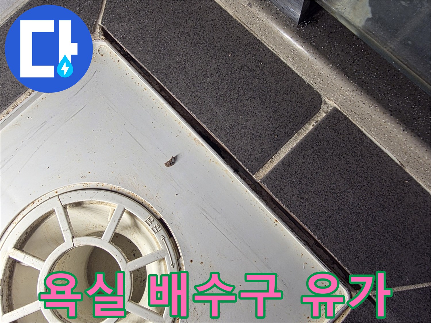 배수구-유가-주변-타일-틈새-확인