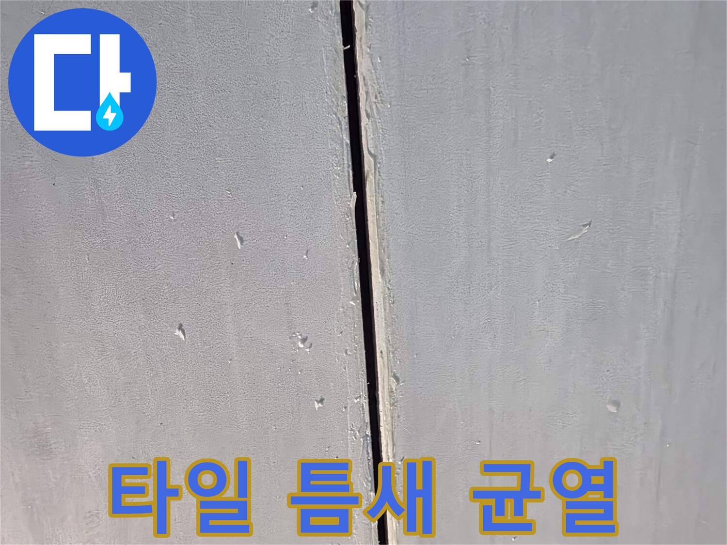 화장실-타일-사이에-발생한-균열-상태