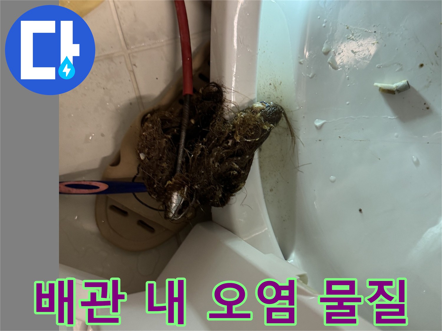 변기 탈거 부위의 뭉쳐진 이물질과 배관 상태
