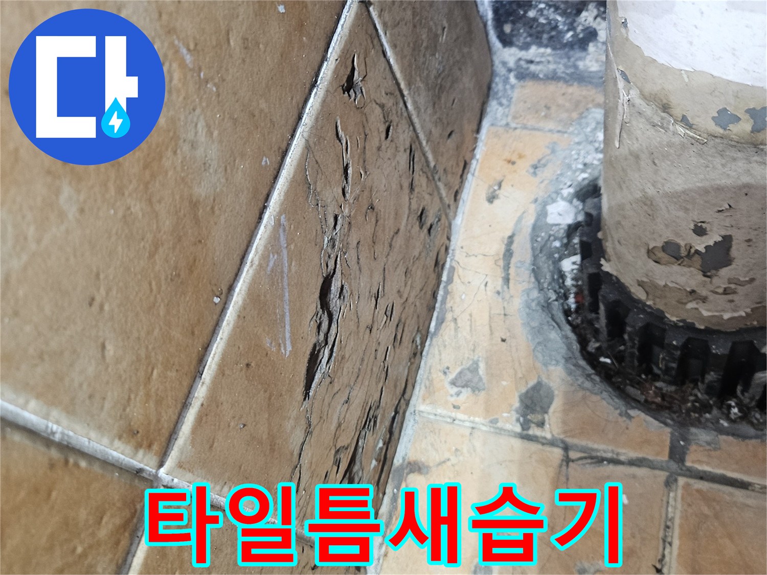 배수관-주변-타일-사이-침투된-물기-현상