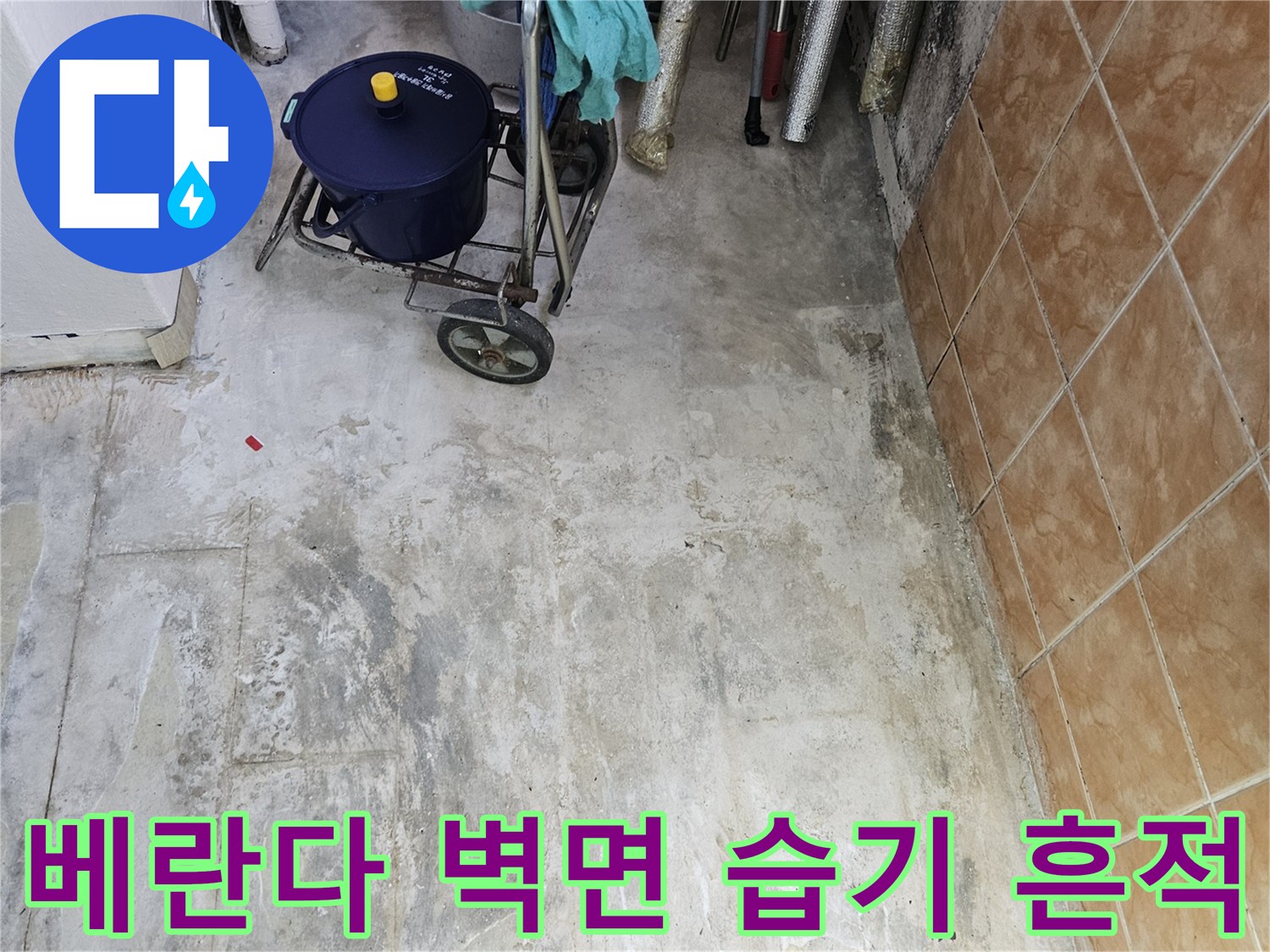 세탁실-배관-주변의-습한-벽면-상태-촬영