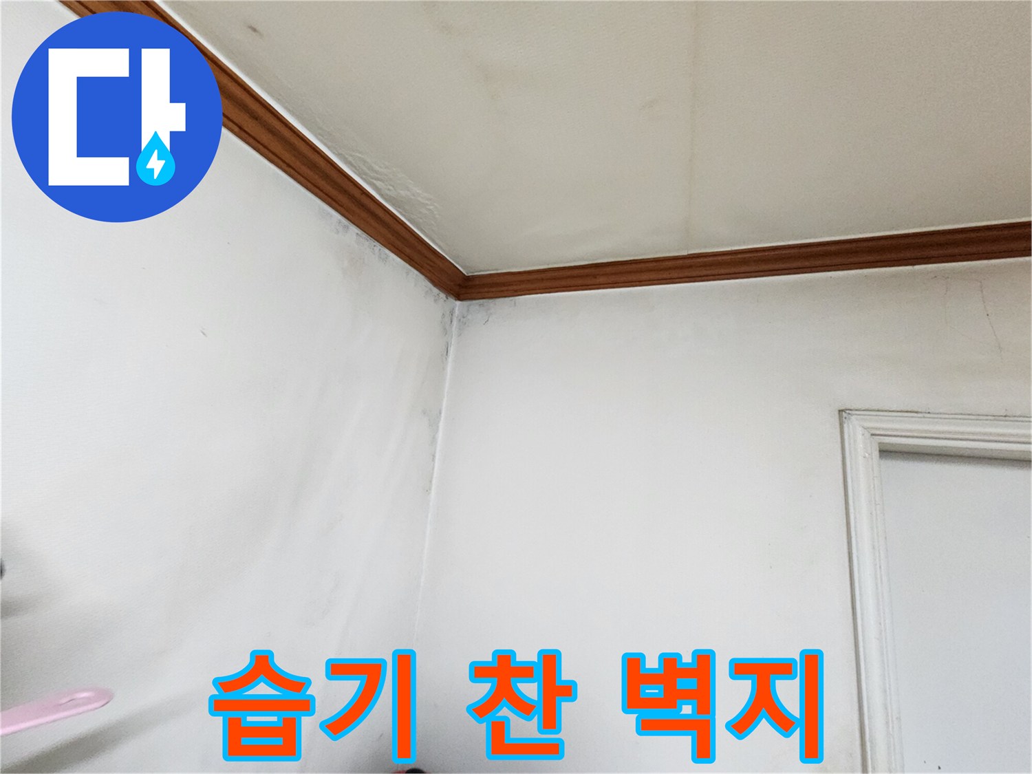 아파트-내부-천장-모서리-변색-부분