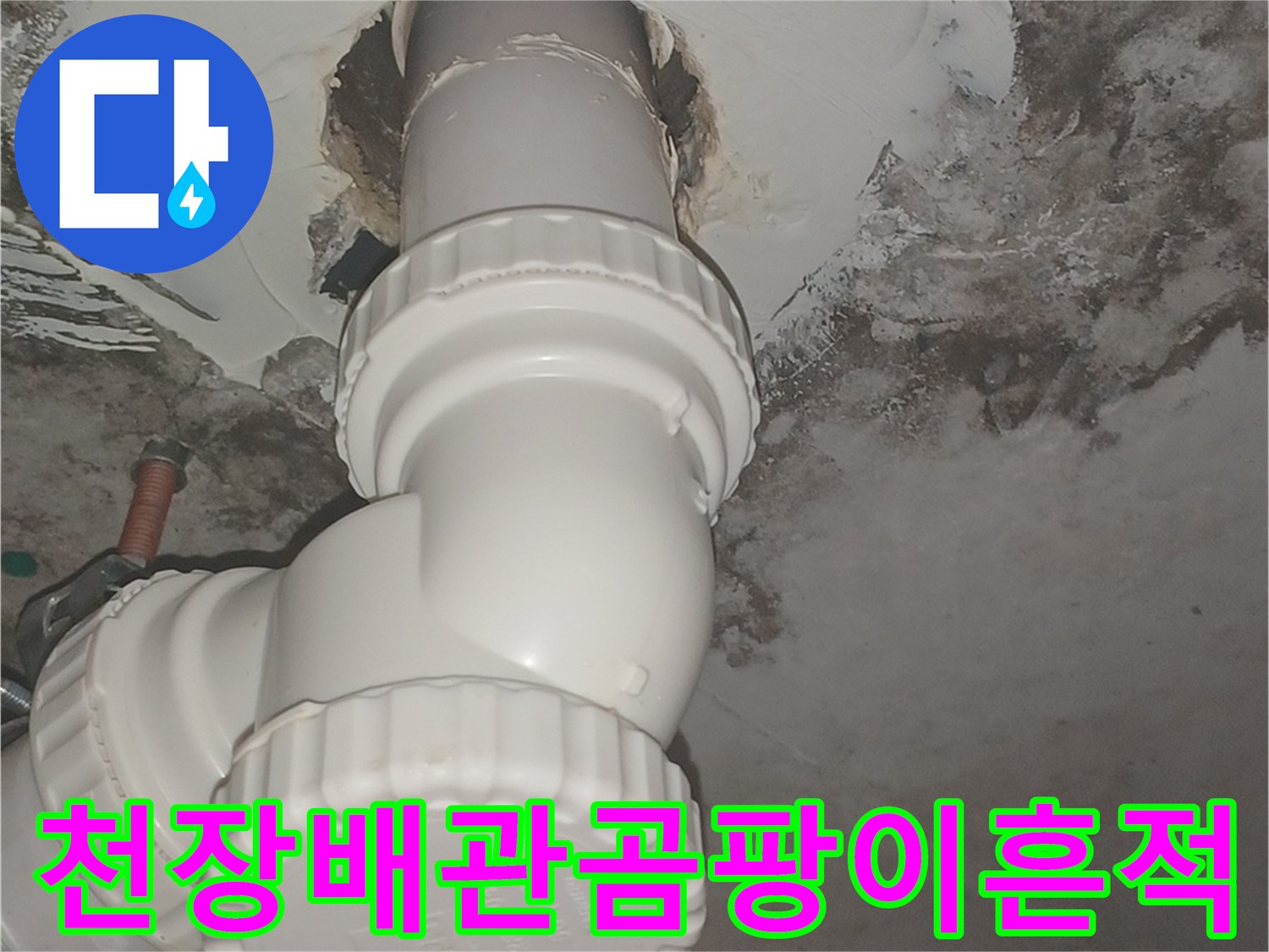 PVC 배관 주변의 심한 곰팡이 오염