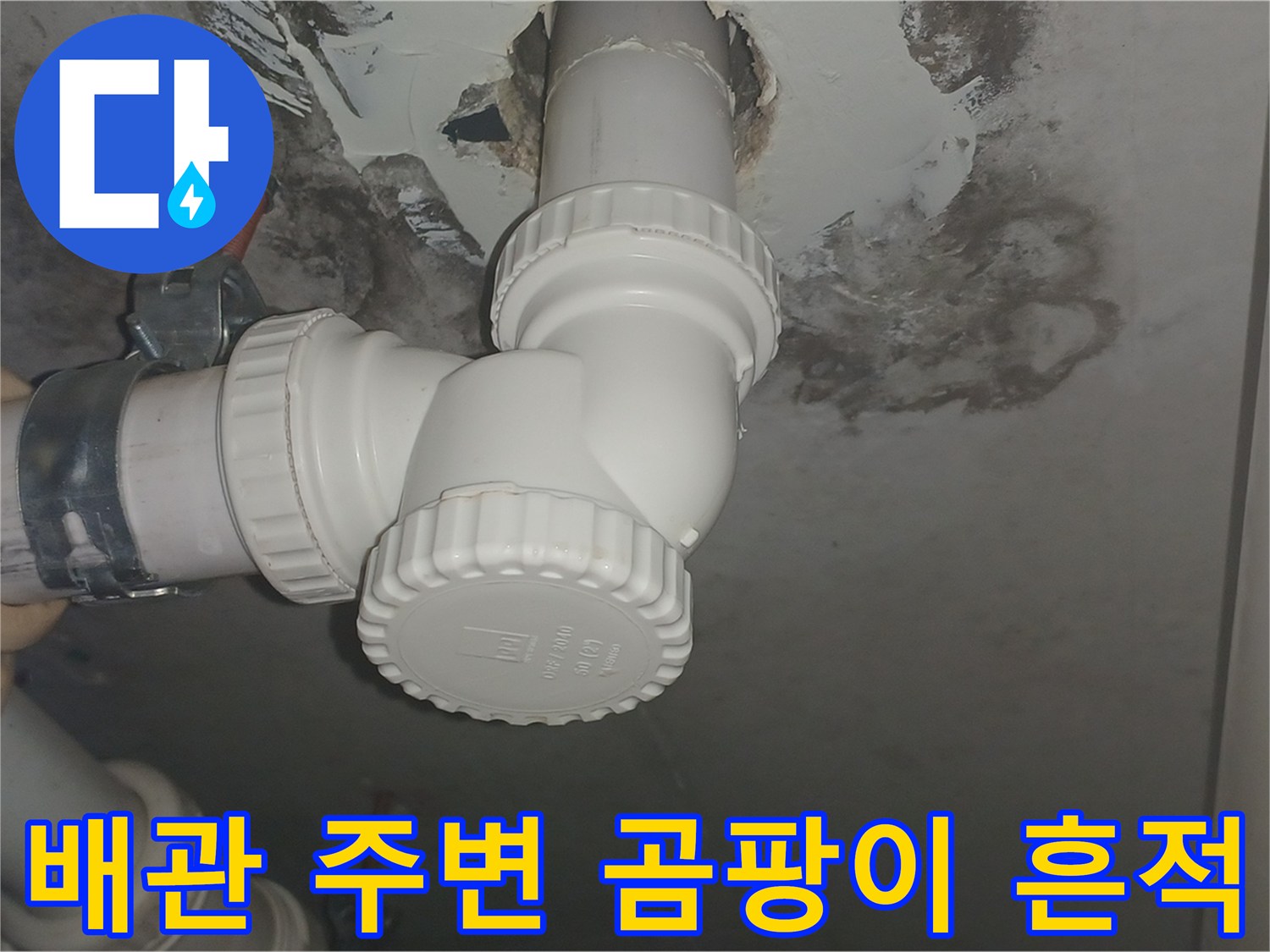 배관-연결부-주변에-발생한-곰팡이와-물자국-상태